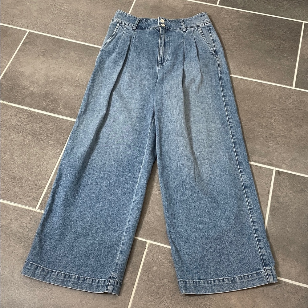 Madewell Pleated Wide-Leg Jeans size 2